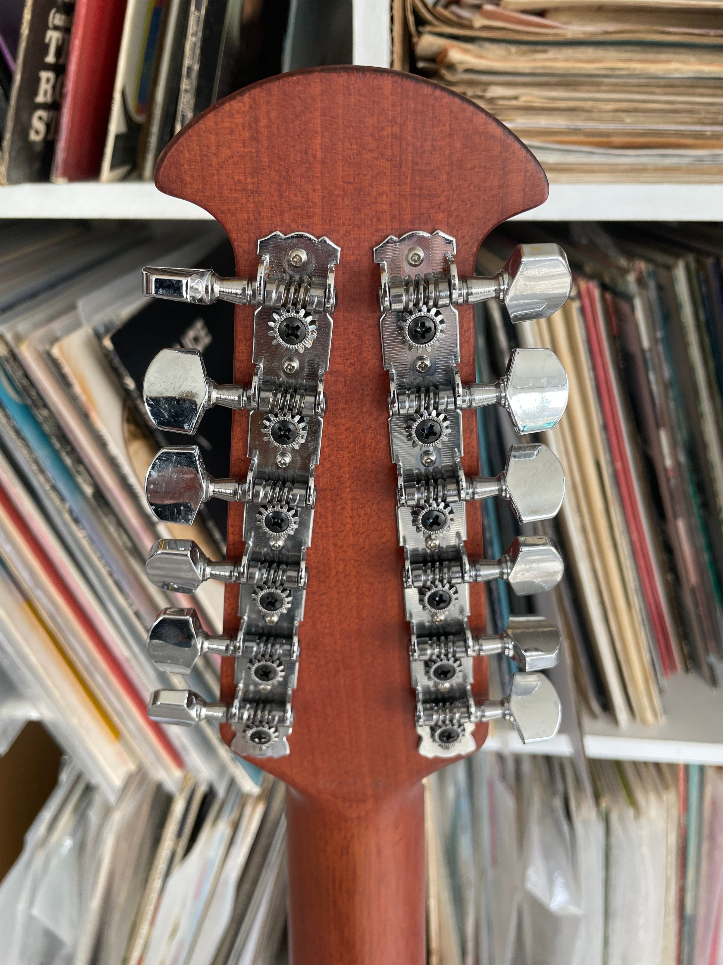 Celebrity by Ovation 12 String Acoustic Guitar (model number