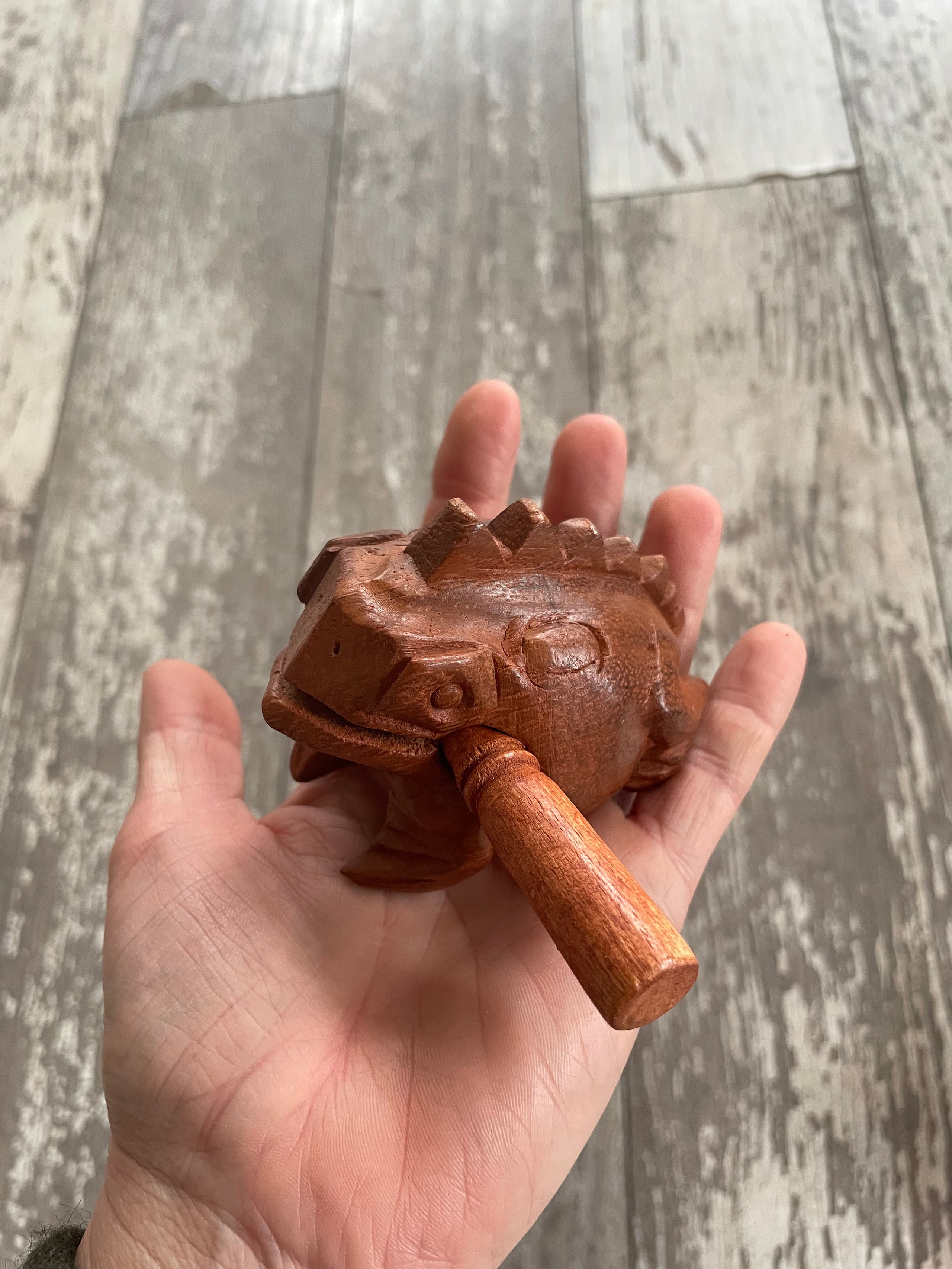 Wooden store toad instrument